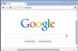 Google Chrome for Business 19